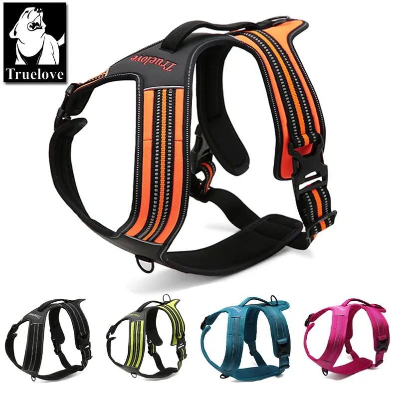 Outdoor Adventure Xl - 트루러브 스포츠 나일론 반사형 노풀 도그